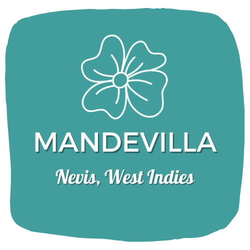 Mandevilla Nevis Vacation Home